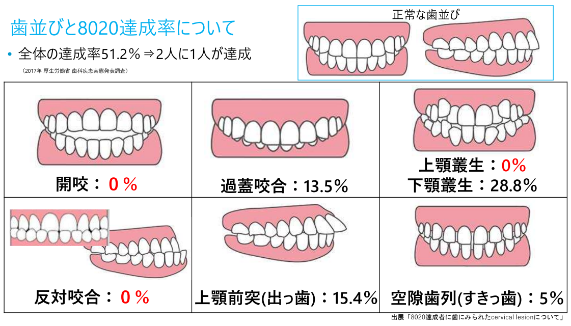 成人矯正治療